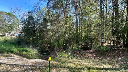 Conroe null-story, null-bed Lot 77-B Royal Lake Drive-idx