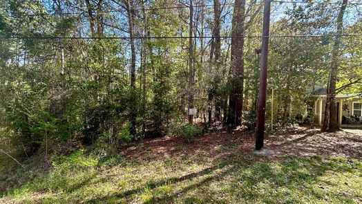 Conroe null-story, null-bed Lot 77-B Royal Lake Drive-idx