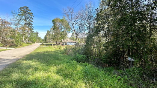 Conroe null-story, null-bed LOT 77-A Royal Lake Drive-idx