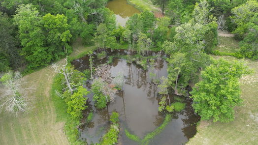 Conroe 1-story, 3-bed 12056 Forest Glen Drive-idx