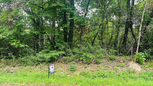 Conroe null-story, null-bed Lot 565 Royal Creek Road-idx