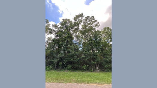 Conroe null-story, null-bed TBD3 Forest Glen Dr-idx