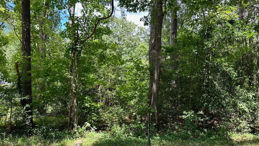 Conroe null-story, null-bed Lot 477A Royal Creek Rd-idx