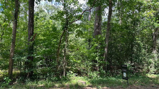 Conroe null-story, null-bed Lot 477A Royal Creek Rd-idx