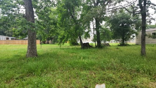 Conroe 1-story, 3-bed 697 Bradford Street-idx