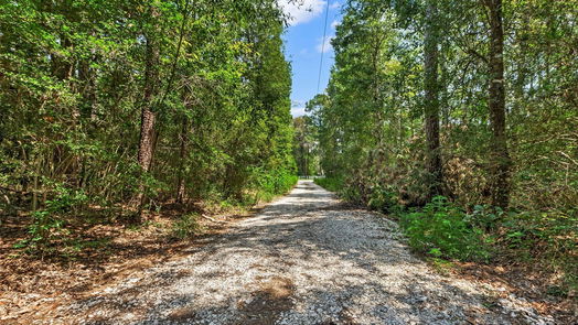 Conroe 1-story, 5-bed 10725 Newton Circle-idx