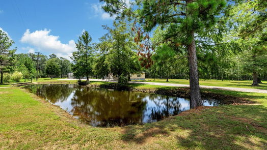 Conroe 1-story, 3-bed 16126 Tree Monkey Road-idx