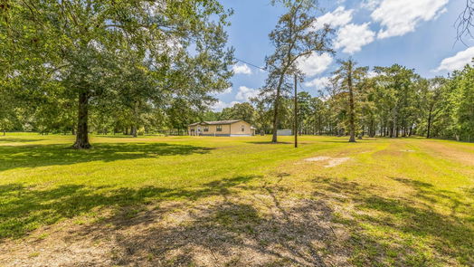 Conroe 1-story, 3-bed 16126 Tree Monkey Road-idx