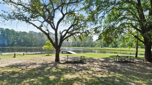 Conroe 2-story, 4-bed 11925 W Lakeshore Drive-idx
