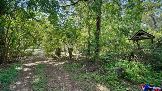 Conroe 2-story, 4-bed 11925 W Lakeshore Drive-idx