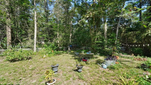 Conroe 2-story, 4-bed 11925 W Lakeshore Drive-idx