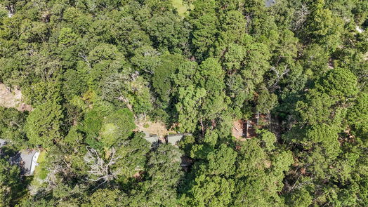 Conroe 2-story, 4-bed 11925 W Lakeshore Drive-idx