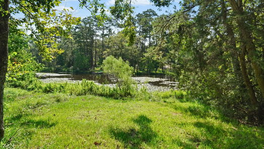 Conroe 2-story, 4-bed 11925 W Lakeshore Drive-idx