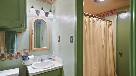 Conroe 2-story, 4-bed 11925 W Lakeshore Drive-idx