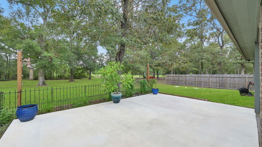 Conroe 1-story, 4-bed 9087 Red Stag Lane-idx