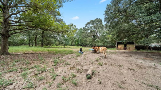 Conroe 1-story, 3-bed 15296 Dogwood Lane-idx