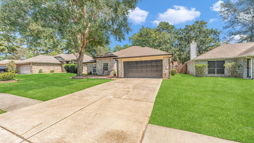 Conroe 1-story, 3-bed 204 Bedford Lane-idx