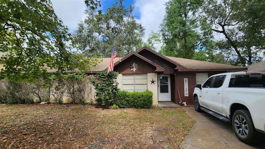 Conroe 1-story, 3-bed 202 Shadow Oaks Drive-idx