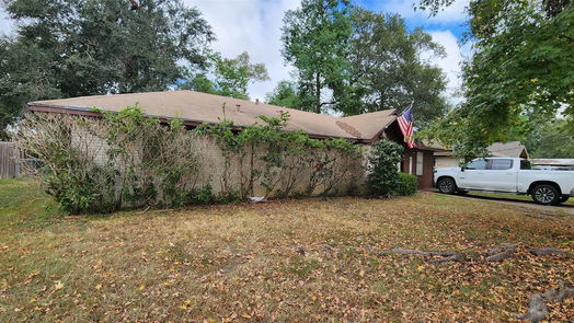 Conroe 1-story, 3-bed 202 Shadow Oaks Drive-idx