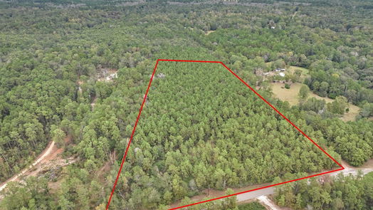 Conroe null-story, null-bed 0000 E Williams Road-idx