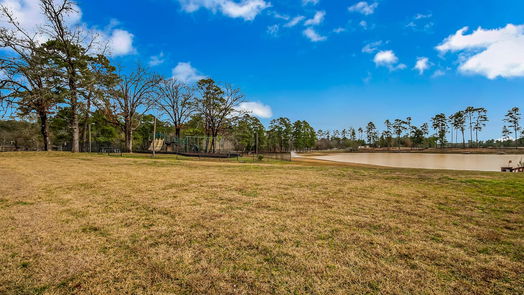 Conroe 2-story, 4-bed 12146 La Salle Oaks-idx