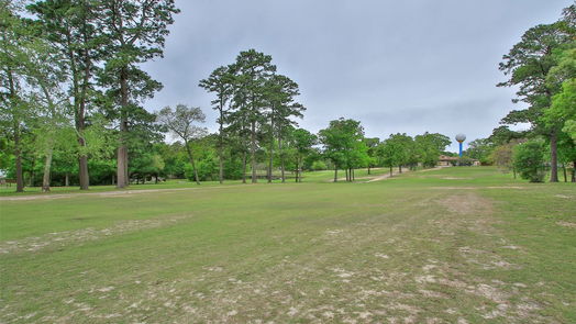 Conroe 1-story, 3-bed 69 Greenbriar Drive-idx