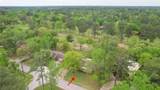 Conroe 1-story, 3-bed 69 Greenbriar Drive-idx