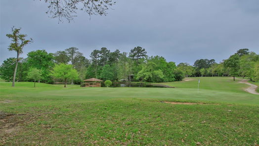 Conroe 1-story, 3-bed 69 Greenbriar Drive-idx