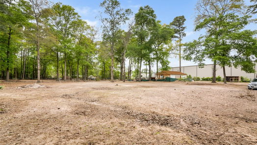 Conroe 1-story, null-bed 12211 Carriage-idx