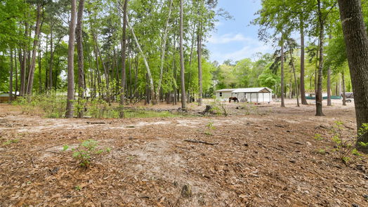 Conroe 1-story, null-bed 12211 Carriage-idx
