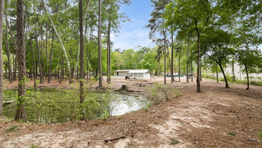 Conroe 1-story, null-bed 12211 Carriage-idx