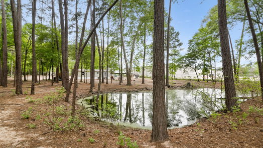 Conroe 1-story, null-bed 12211 Carriage-idx