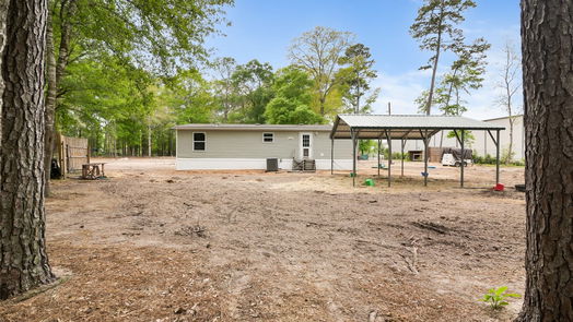Conroe 1-story, null-bed 12211 Carriage-idx