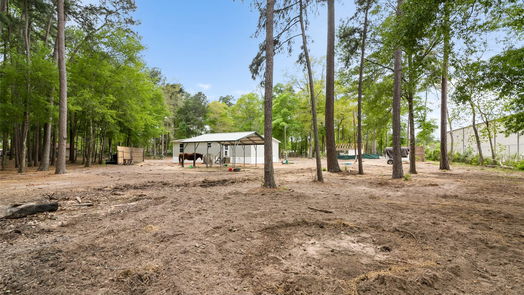 Conroe 1-story, null-bed 12211 Carriage-idx