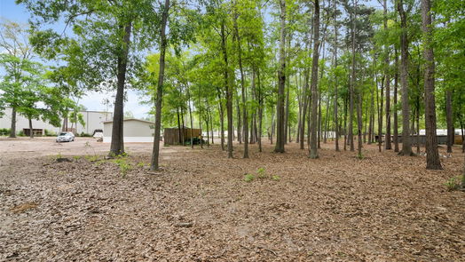 Conroe 1-story, null-bed 12211 Carriage-idx