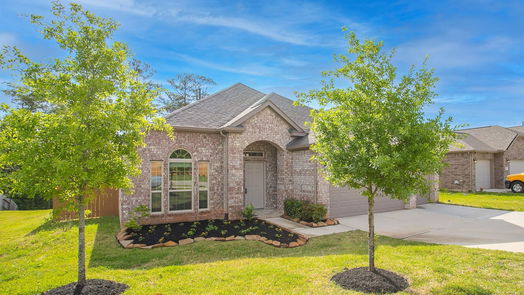 Conroe 1-story, 3-bed 794 Dogberry Lane-idx