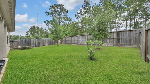 Conroe 1-story, 4-bed 7022 N Sound Lane-idx