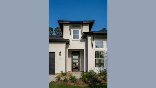 Conroe null-story, 4-bed 1711 Divino Pass-idx