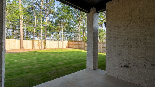 Conroe null-story, 4-bed 1711 Divino Pass-idx