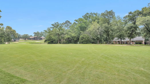 Conroe 1-story, 3-bed 55 E Rolling Hills Drive-idx