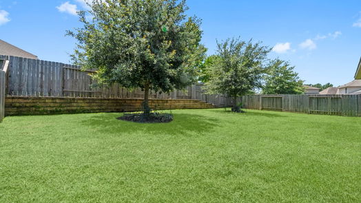 Conroe 1-story, 4-bed 12226 Emerald Mist Lane-idx