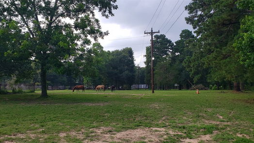 Conroe 1-story, 2-bed 5620 Sapp Road-idx