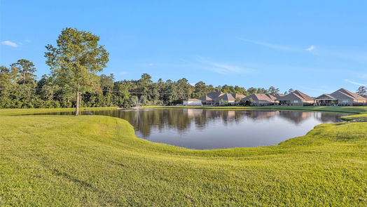 Conroe 1-story, 2-bed 12177 Creekside Villas Court-idx