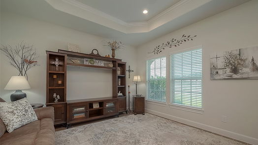 Conroe 1-story, 2-bed 5729 Lakeside Villas Court-idx