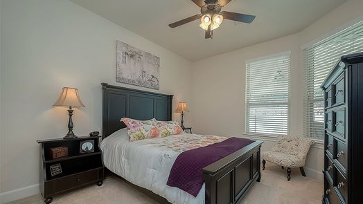 Conroe 1-story, 2-bed 5729 Lakeside Villas Court-idx