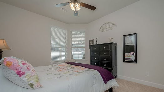 Conroe 1-story, 2-bed 5729 Lakeside Villas Court-idx