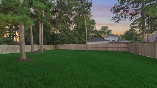 Conroe 2-story, 4-bed 7007 Longmire Circle-idx