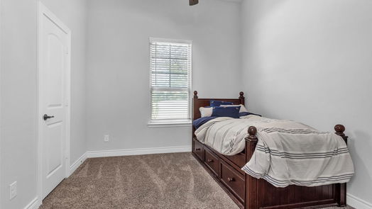 Conroe 1-story, 4-bed 11053 Shadow View Drive-idx