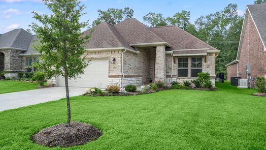 Conroe 1-story, 3-bed 12117 Creekside Villas Court-idx