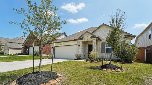 Conroe 1-story, 3-bed 788 Yellow Birch-idx